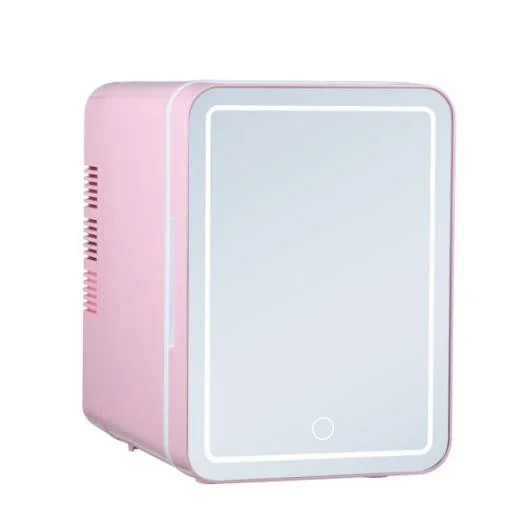 Mini Fridge with LED Mirror Light