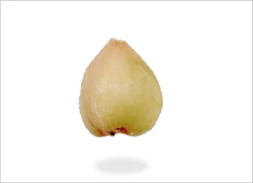 Buchweizenkerne und Mehl