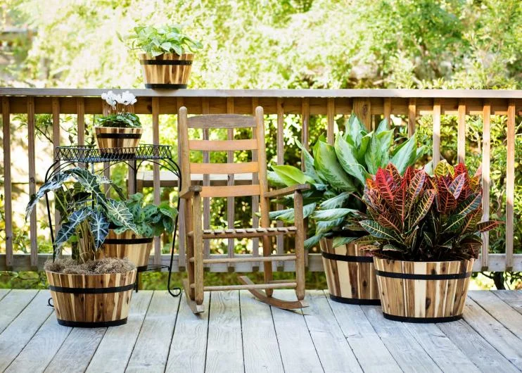 Round Acacia Wooden Planters