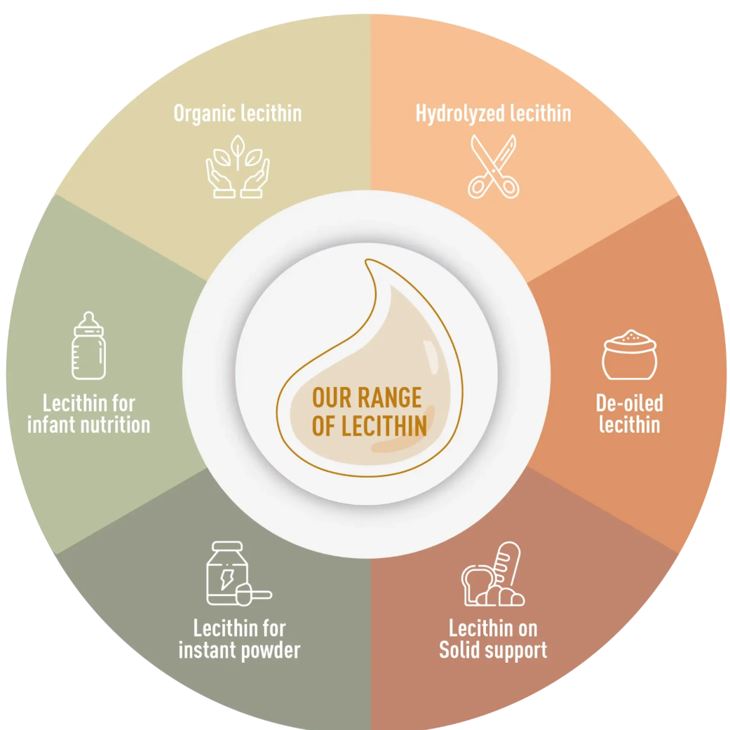 Lecithin Emulsifier Ingredients for Food Manufacturing