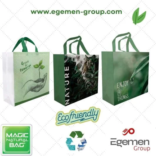 Non-Woven Ecological Shopping Bag