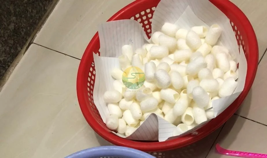 Silk Worm Cocoon for Skincare