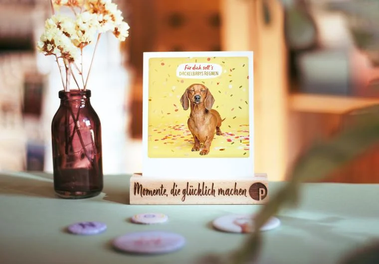 Pickmotion Postcards Set