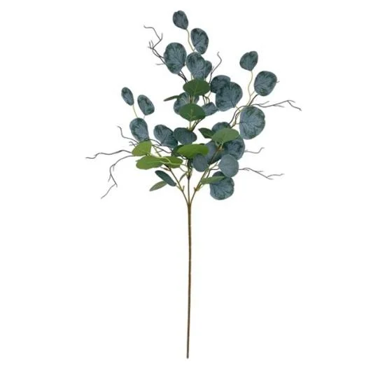 30 Inch Eucalyptus Branch