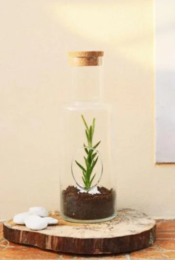 Favicri Recycled Glass Terrarium