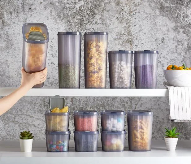 Shell Food Containers
