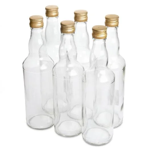 6-Piece Glass Bottle Set with Screw Caps