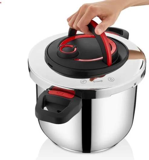 Love Model 22cm Stainless Steel Pressure Cooker