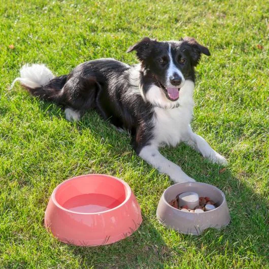 Pet Care Products