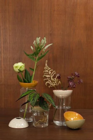 Bobeches for Plants and Flowers