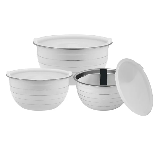 Stainless Steel Bowl Set with Plastic Lid