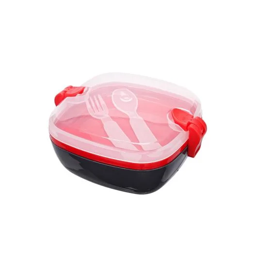 School Lunchbox Container