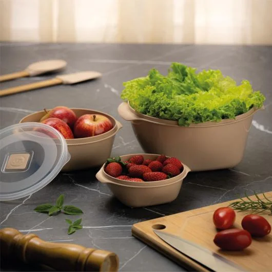 UZ Food Containers Line