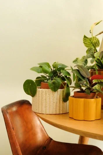 Self-Watering Plant Pots