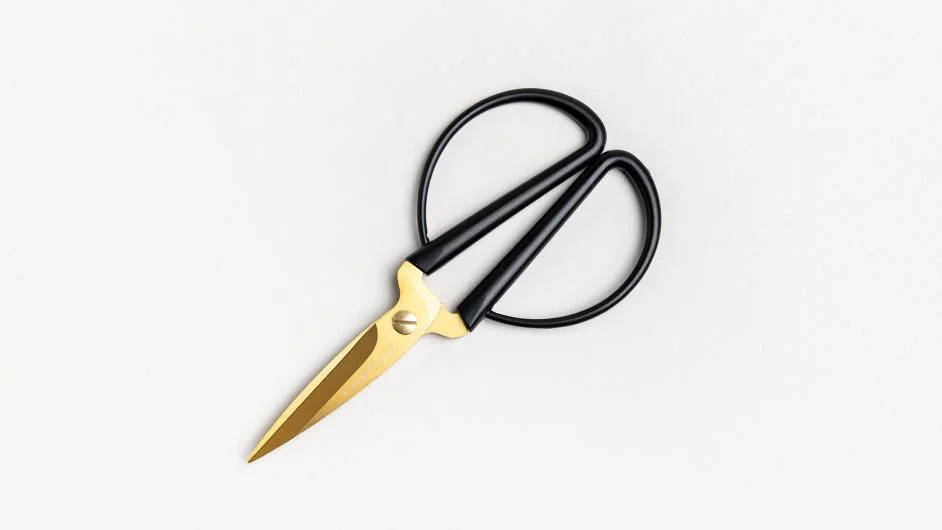 Old-School Brass Black Scissors