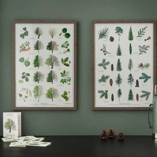 Nature Poster Prints