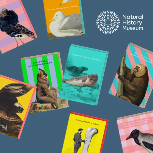 Ohh Deer Natural History Museum Products