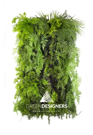 Limba Wilderness Vertical Garden