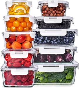Borosilicate Food Container