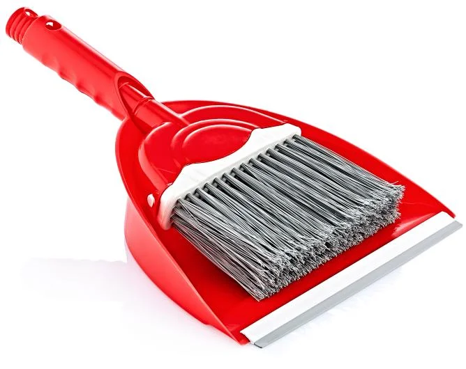 Y - 428 Maxel Begonia Broom Dustpan