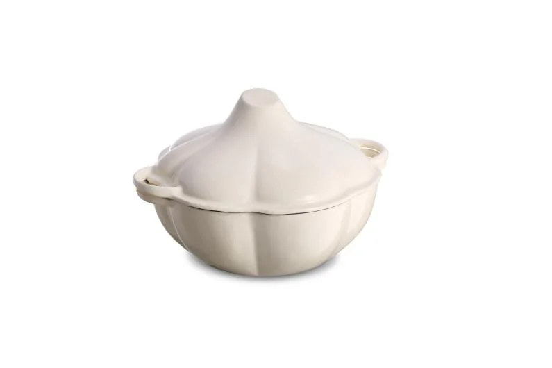 Enameled Cast Iron Pot
