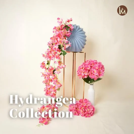 Bloom with Grace Hydrangea Collection