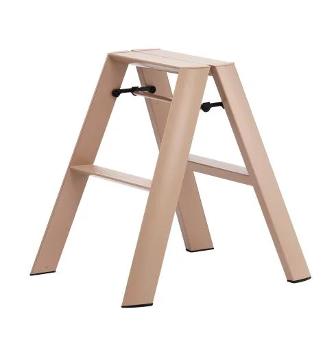 2-Step Household Ladder