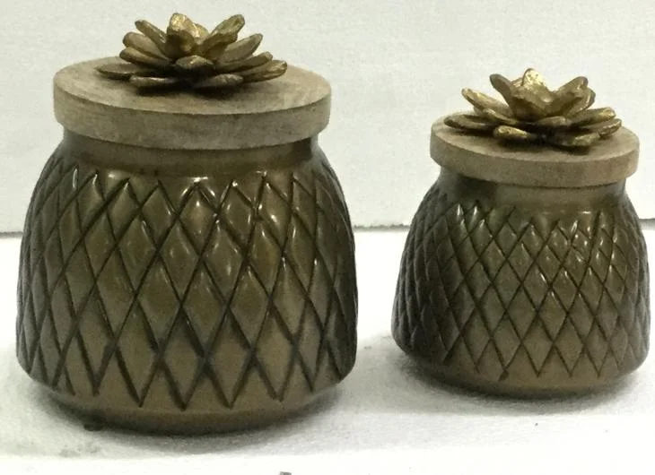 Pineapple Storage Box