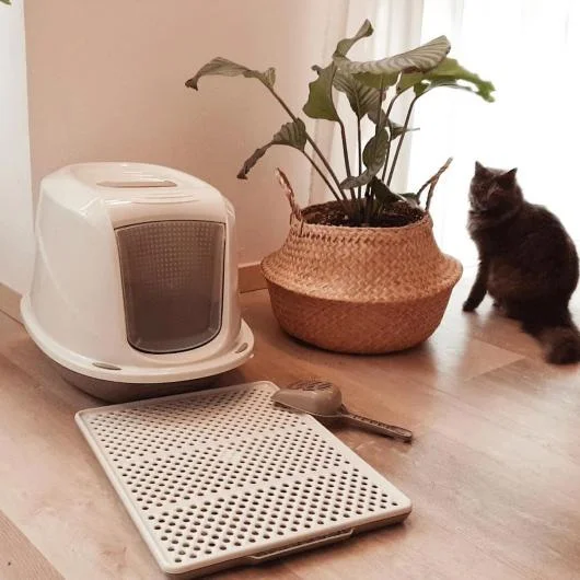 Pet Litter Trays and Toilets