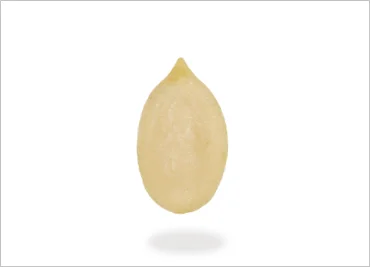 Watermelon Seed Kernels