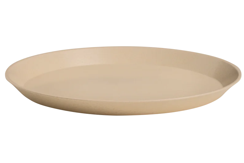 Reusable Plate 21cm