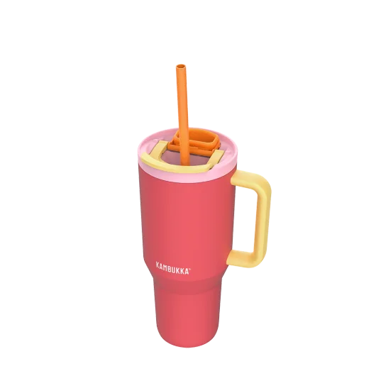 Rio 950 ml Insulated Tumbler