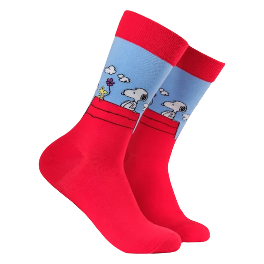 Snoopy and Woodstock Peanuts Socks