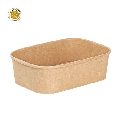 Eco-Friendly Paper Tableware and Food Containers
