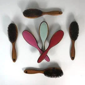 Hairbrush Grooming Tool