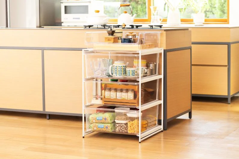 Tenma Clear Storage Bin