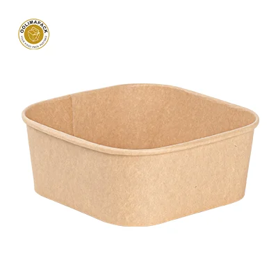 Eco-Friendly Paper Tableware and Food Containers