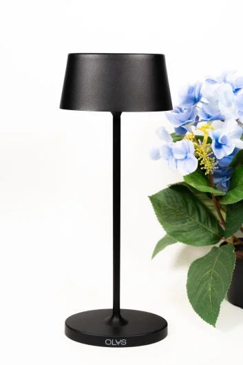 Olys Two Cordless Table Lamp
