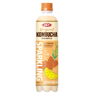 Bevanda al tè kombucha fermentato