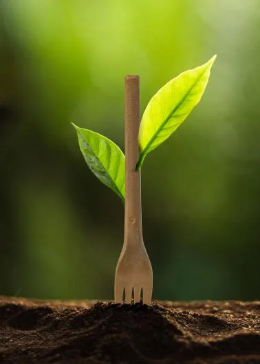 REFORK Disposable Cutlery