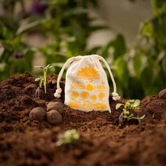 Sunflower Seedbombs Mix