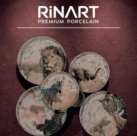 Porcelain Dinner Set