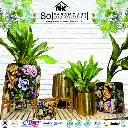 Indoor Decor Collection