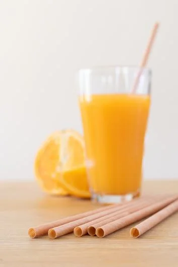 Back to Nature 24hr Wooden Straws