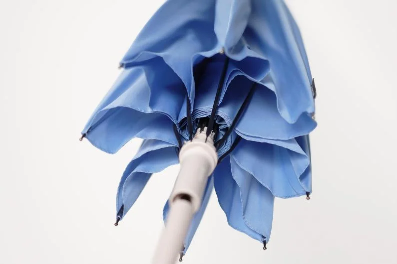 Shupatto Umbrella Product