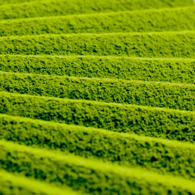ODAYA Matcha MU Ceremonial Grade Matcha