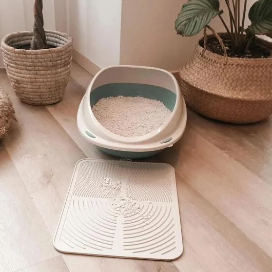 Pet Accessories for Everyday Comfort
