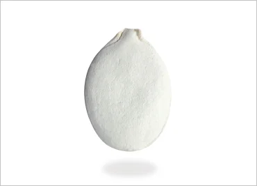 Snow White In-Shell Pumpkin Seeds