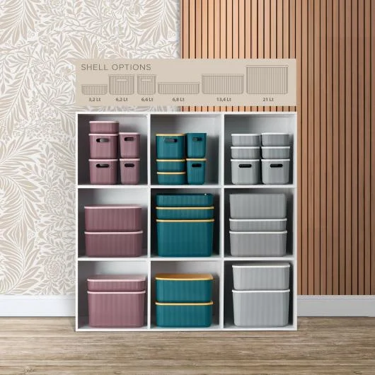 Shell Storage Boxes