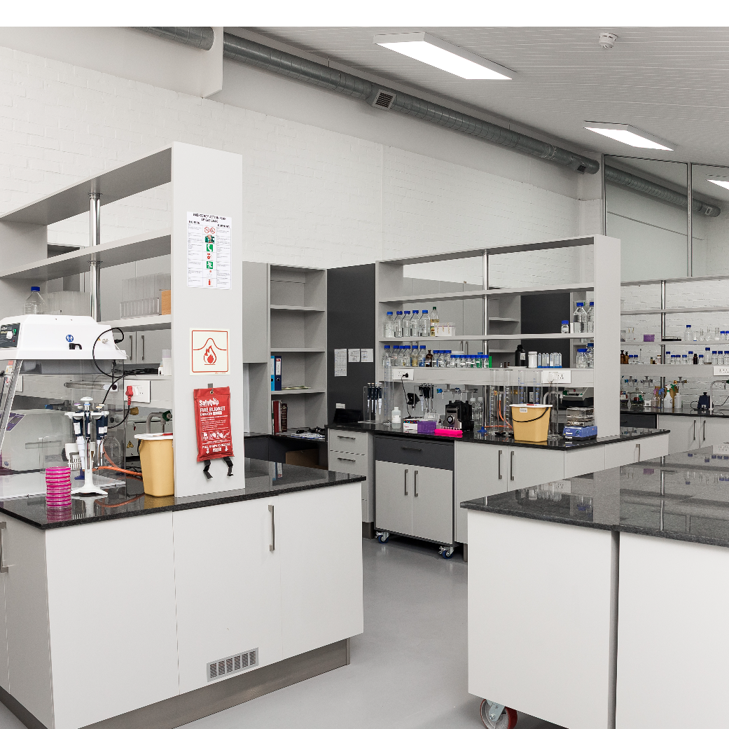 Food Product Research Formulation and Application Support